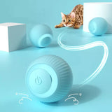 Interactive cat toy