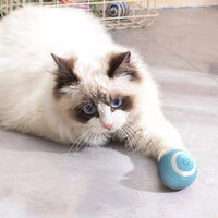 Rechargeable cat ball