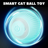 USB rechargeable cat toy