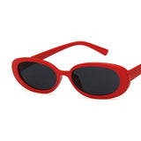 Womens Retro Oval Sunglasses